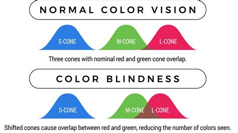 protan color blindness causes